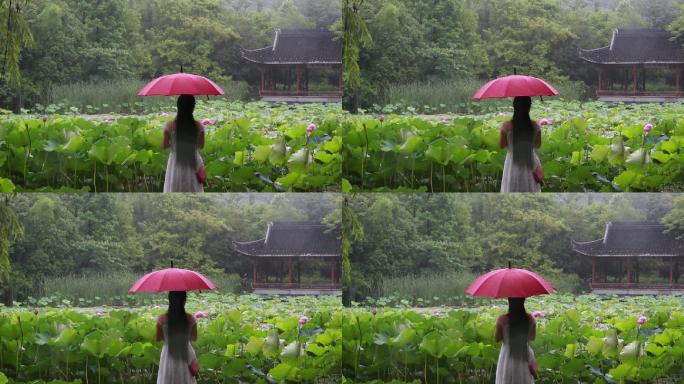 江南荷塘白裙女孩红雨伞雨天站立赏荷花