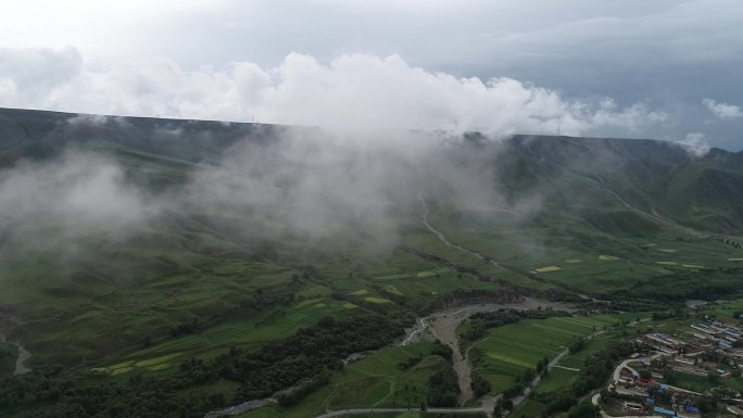 山区绿色植被树木航拍