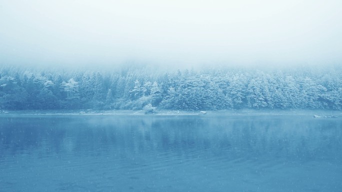 庐山冬季雪景视频