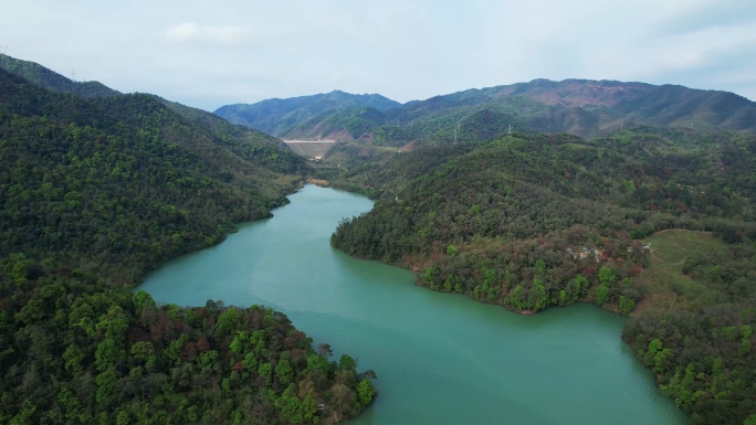 森林林区水库