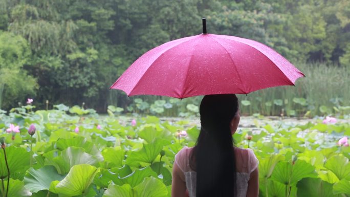 江南白裙女孩雨天红雨伞荷塘背影诸暨