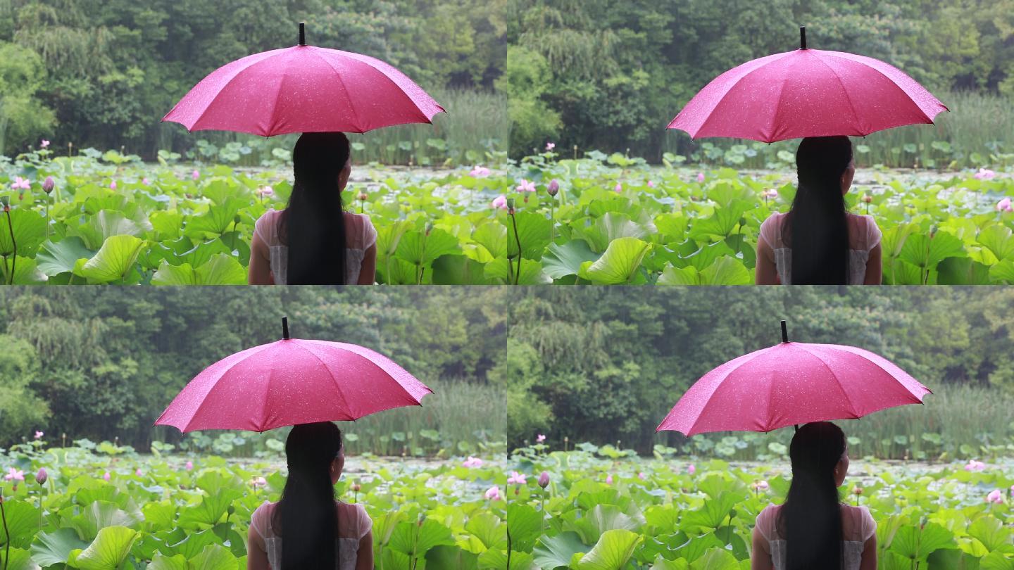 江南白裙女孩雨天红雨伞荷塘背影诸暨