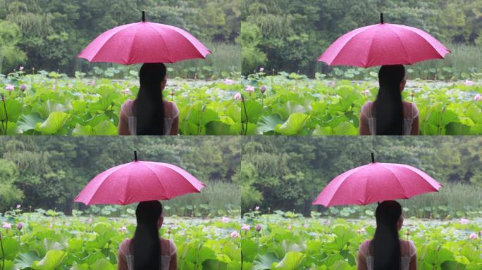 江南白裙女孩雨天红雨伞荷塘背影诸暨