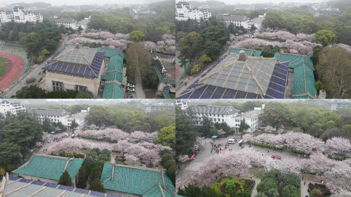 武汉大学樱花航拍