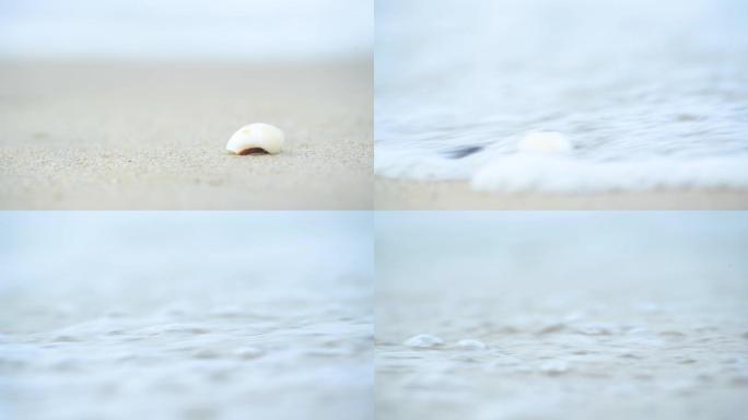 4K海浪拍打着沙滩上的贝壳