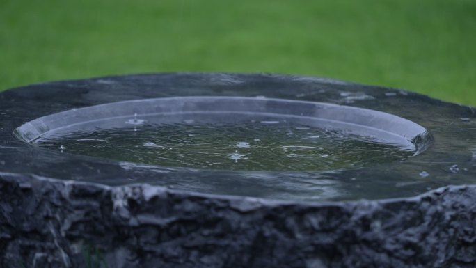 草地坪 绿叶 树公园 石雕 雨滴水 倒影