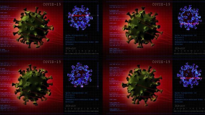 冠状病毒病。2019冠状病毒疾病模型