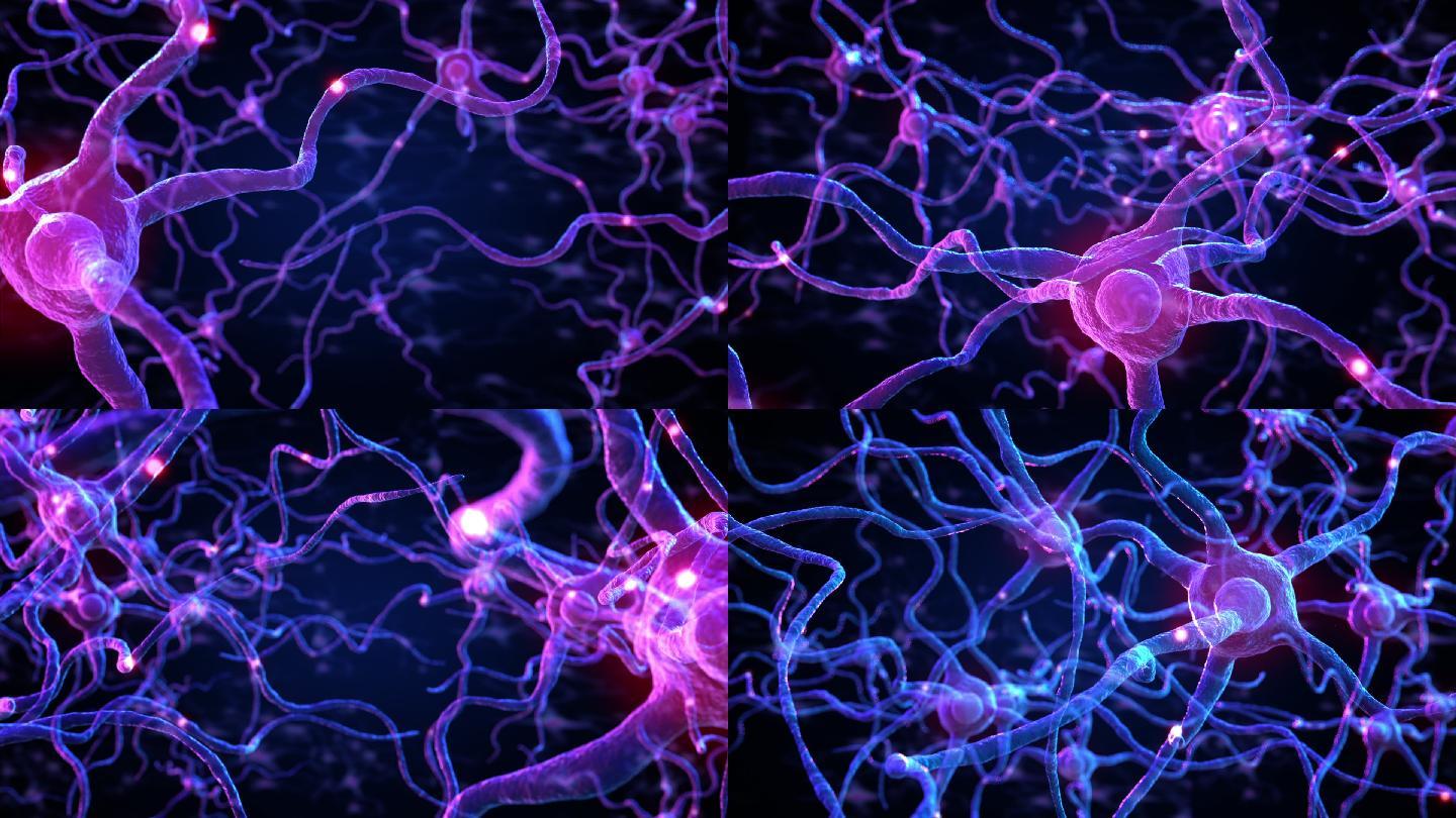 人脑内神经元和突触的3d动画，突触和神经元细胞发送电化学信号，可循环