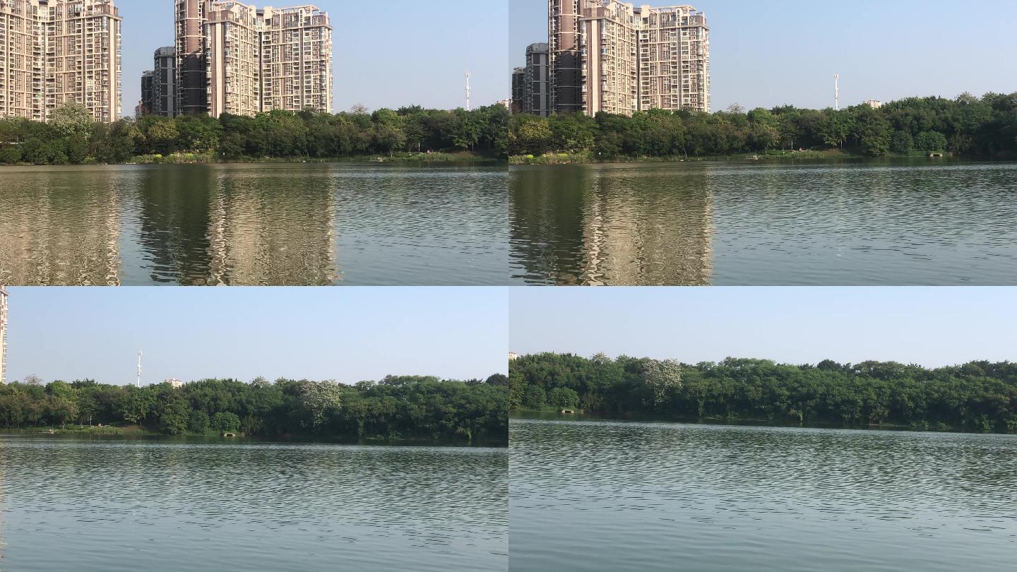 南宁 邕江 湖水 江景 绿色 高清4K