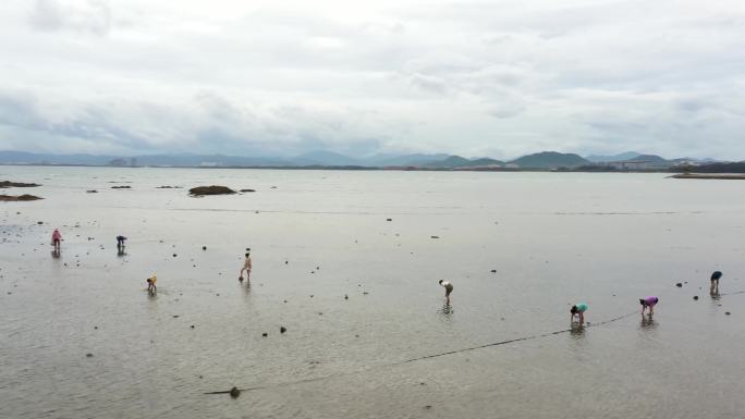 陵水赤岭村 美丽乡村 赶海