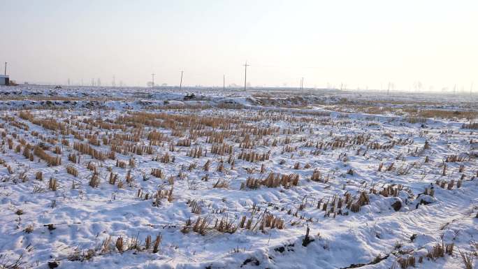 休耕期的黑土地，东北黑土地冬天，雪原