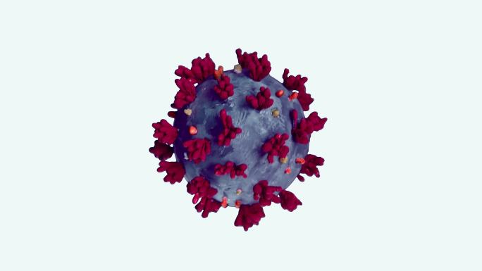 COVID-19 OMICRORON冠状病毒新变种第五波