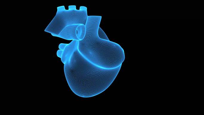 4K蓝色线框全息科技心脏动画素材带通道
