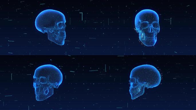 人类骨骼头骨和数字分析4K