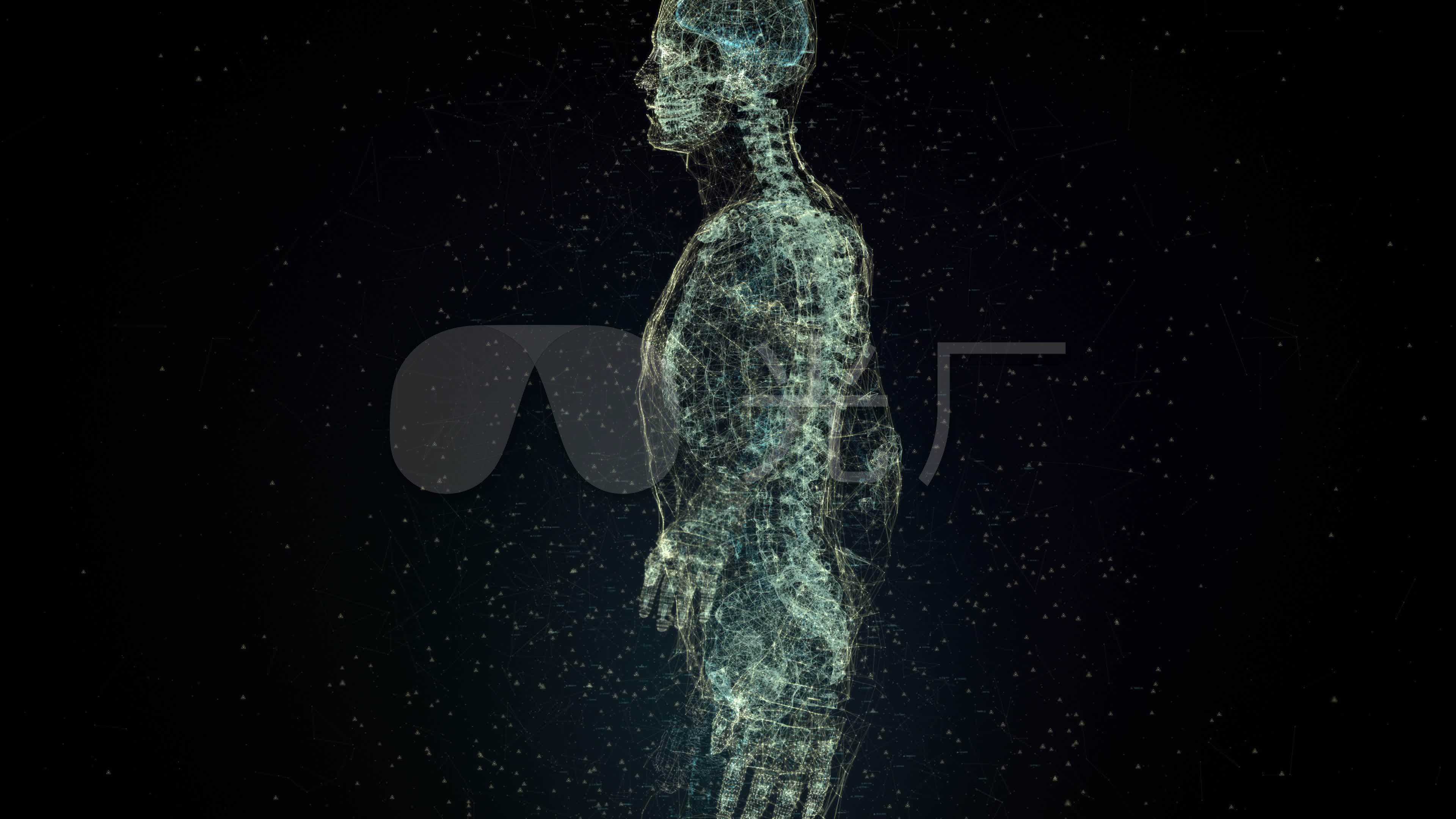 人体数字X射线扫描_3840X2160_高清视频素材下载(编号:7849477)_影视包装_光厂(VJ师网) www.vjshi.com