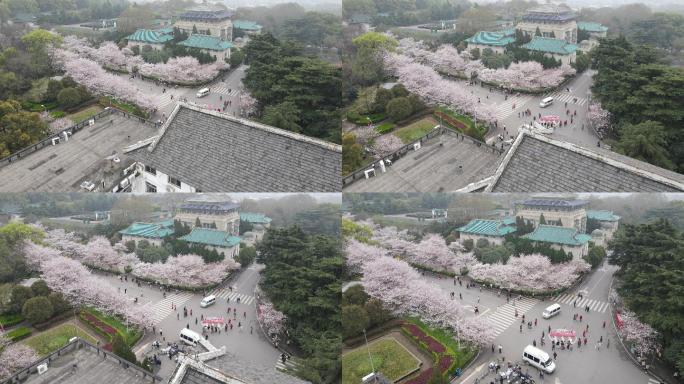 武汉大学樱花航拍