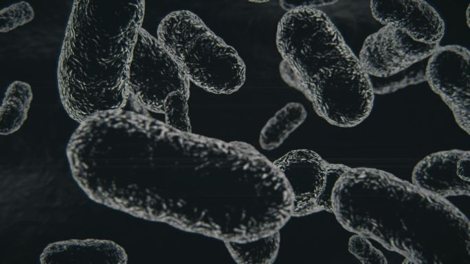 活的有机体中细菌或病毒移动的显微图像