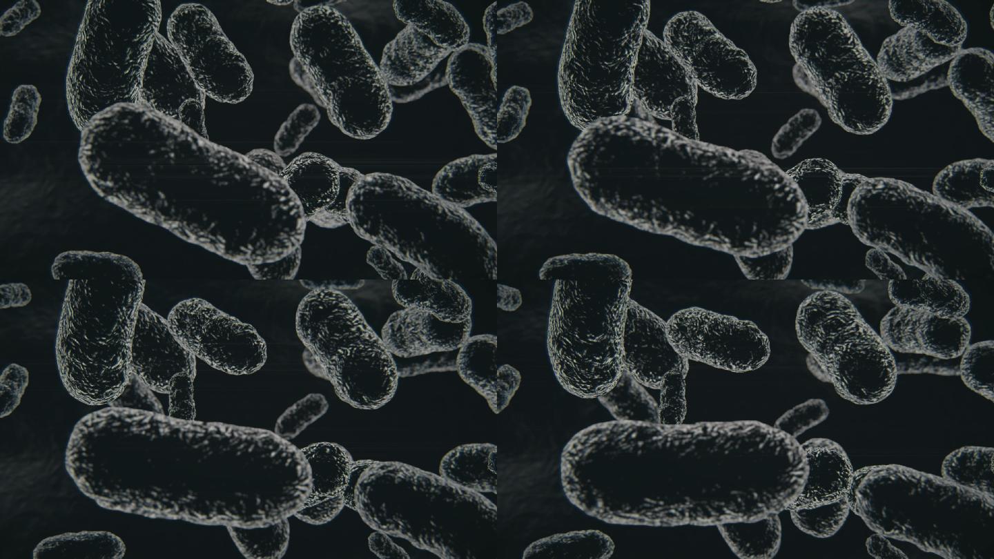 活的有机体中细菌或病毒移动的显微图像