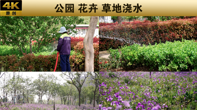 公园 花卉 草地浇水，爱护环境