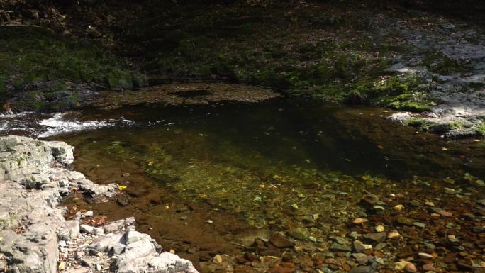 秋季山涧小溪小河流水素材