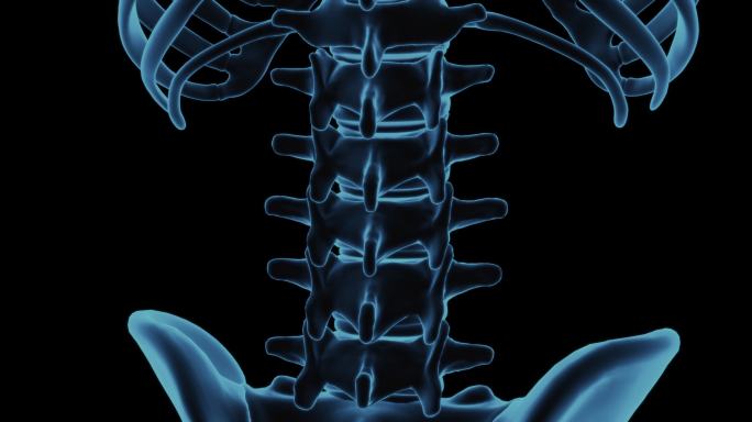 腰椎，身体x光扫描的脊椎底部区域