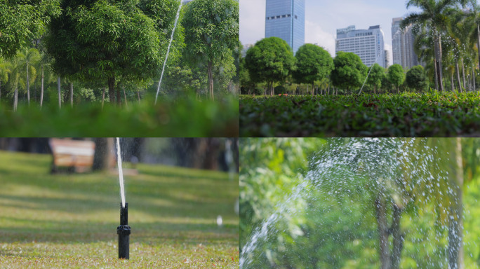 清晨草地自动浇水_4K升格