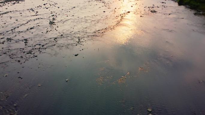 夕阳 黄昏 河流 生态 白鹭 黄昏下的河