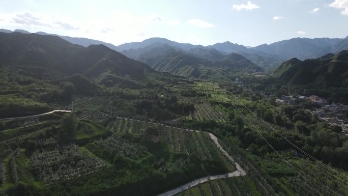 阜平山间梯田