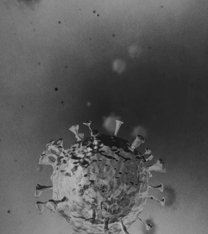病毒2019冠状病毒疾病的显微观察