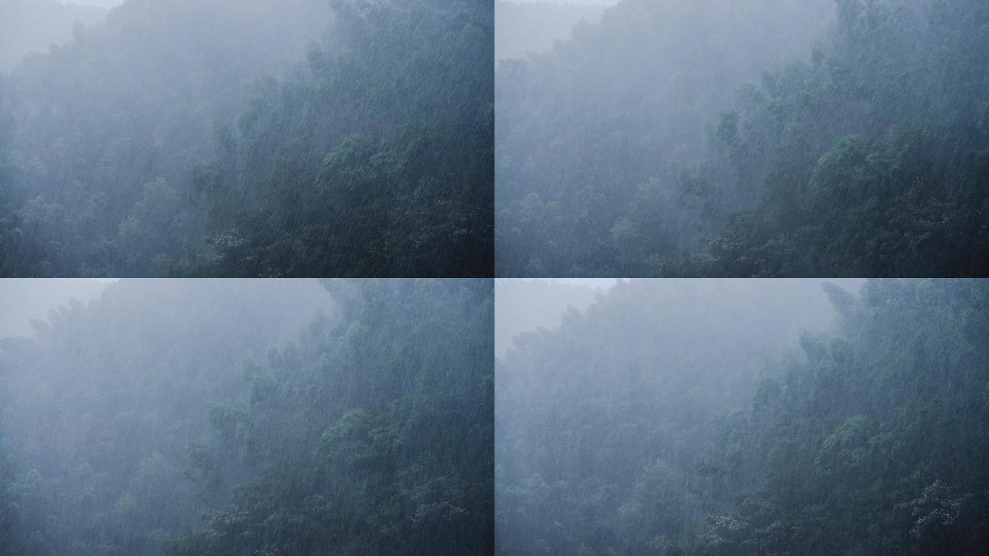 大暴雨 树林 狂风暴雨 下雨 强降雨