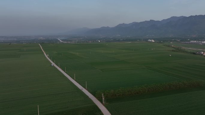 航拍唯美麦田风光田野农田农场农业麦田日落