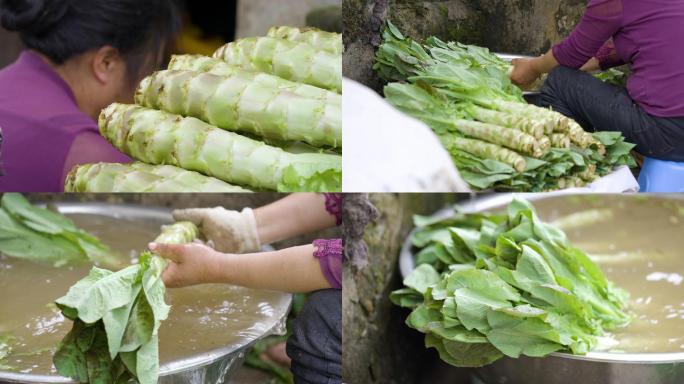 菜农清洗莴苣+已调色