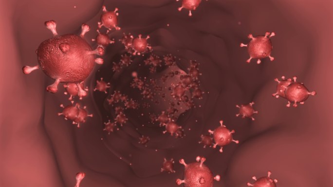 血液和病毒细胞在静脉通道中移动