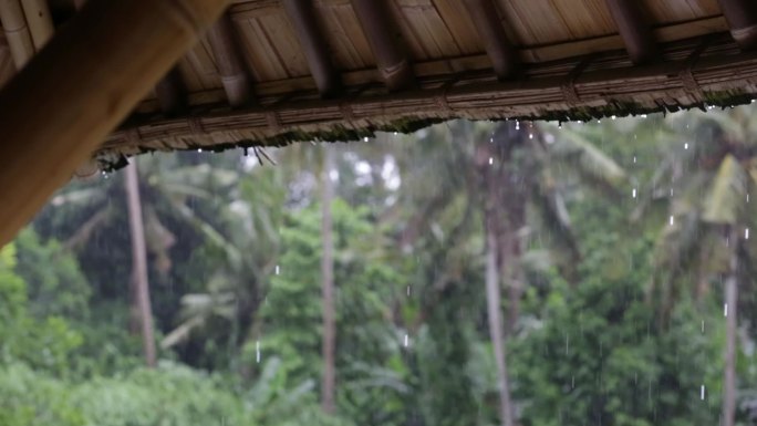 下雨天竹屋竹楼屋檐雨水滴落