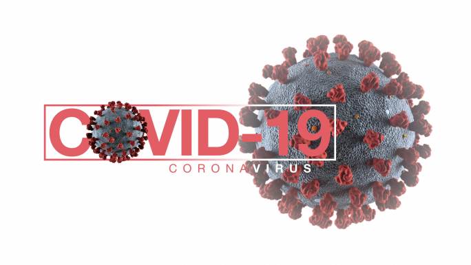 C2019冠状病毒疾病的三维动画