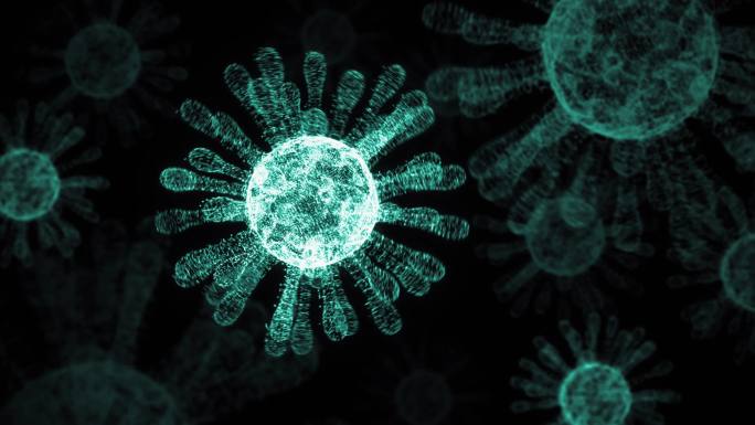 流感流行和新冠状病毒