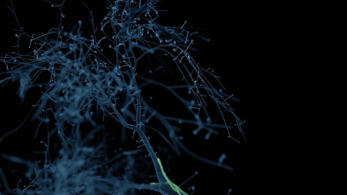神经元系统全息图特效动画vj合成元素光效