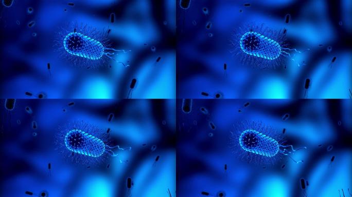 在显微镜下漂浮的大肠杆菌细胞或细菌或病毒