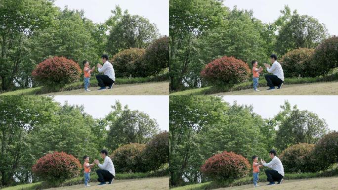 4K春天草地上爸爸和儿子玩拍手游戏