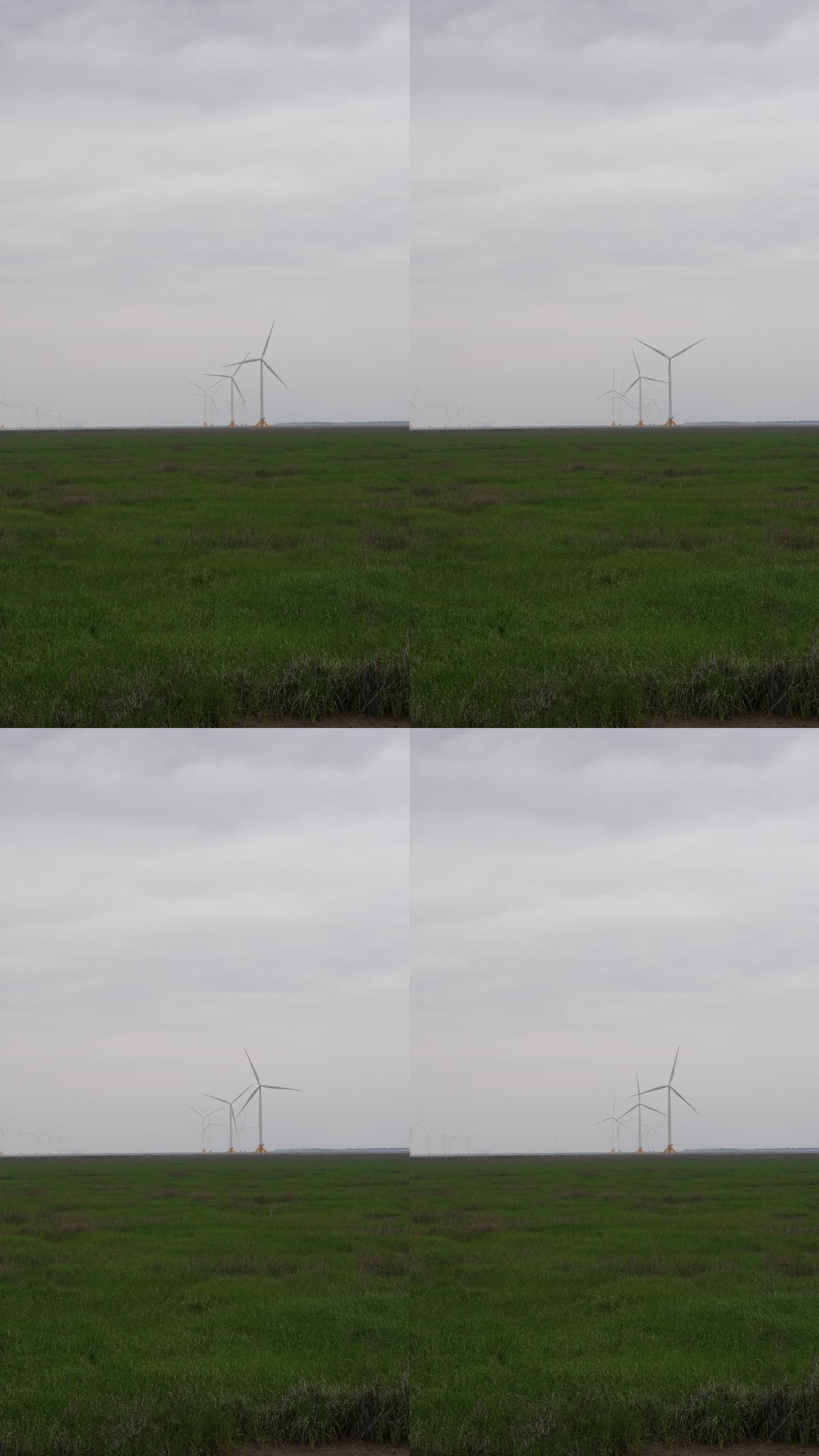 竖拍 夏季田间风力发电机、发电厂