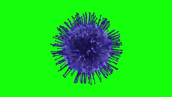 显微镜下的冠状病毒触须3d模型