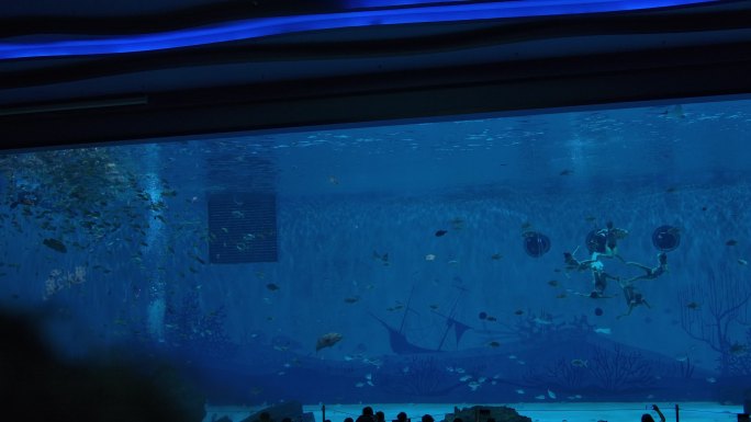 上海海昌海洋公园水下游鱼表演