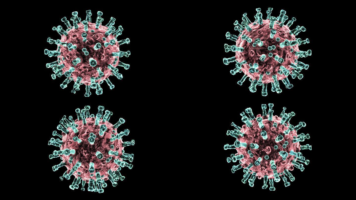 病毒2019冠状病毒疾病的动画