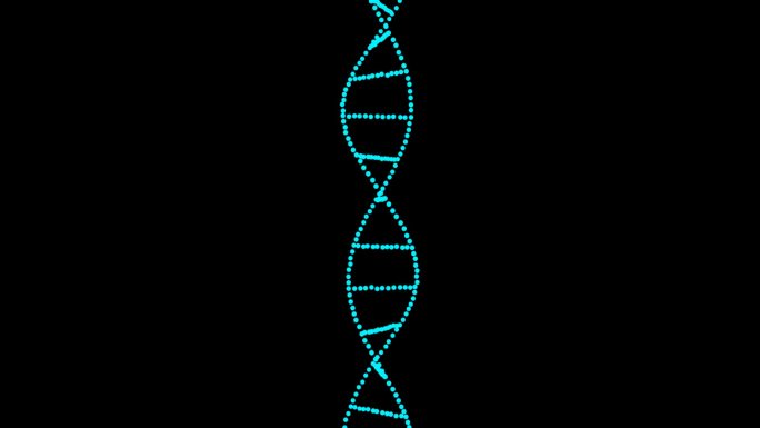 基因DNA分子带通道
