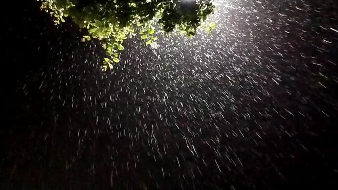 街灯夜雨唯美雨滴路灯光影雨水街灯慢镜拍摄