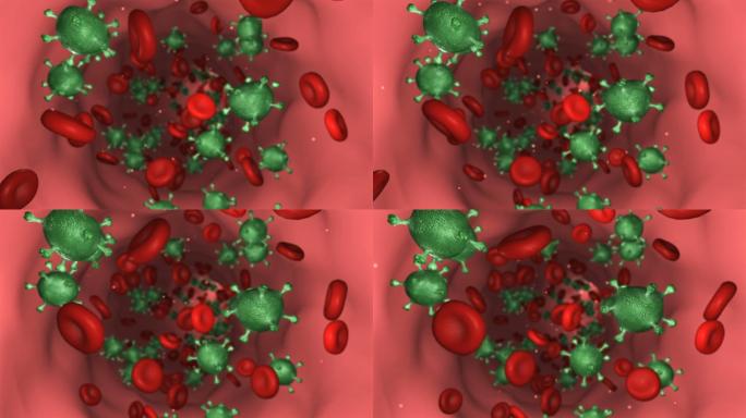血液和病毒细胞在静脉通道中移动