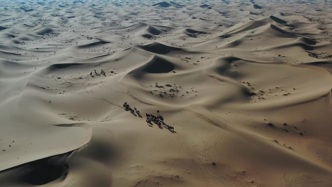 沙漠航拍素材 驼铃
