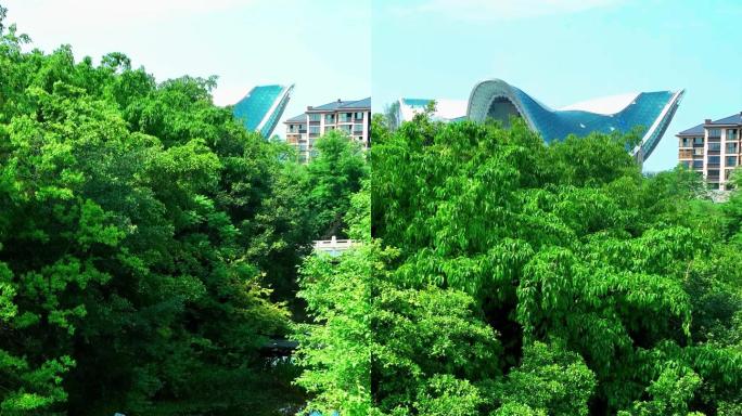 竖屏桂林訾洲公园和漓江歌剧院单镜头