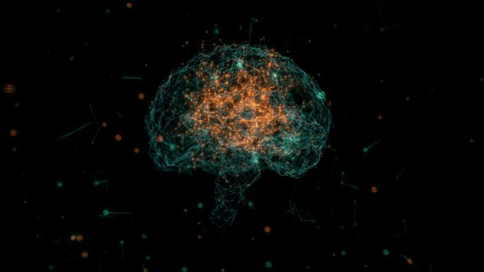 带神经元和受体的脑模型