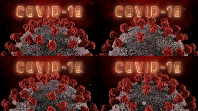 COVID-19冠状病毒，可循环的